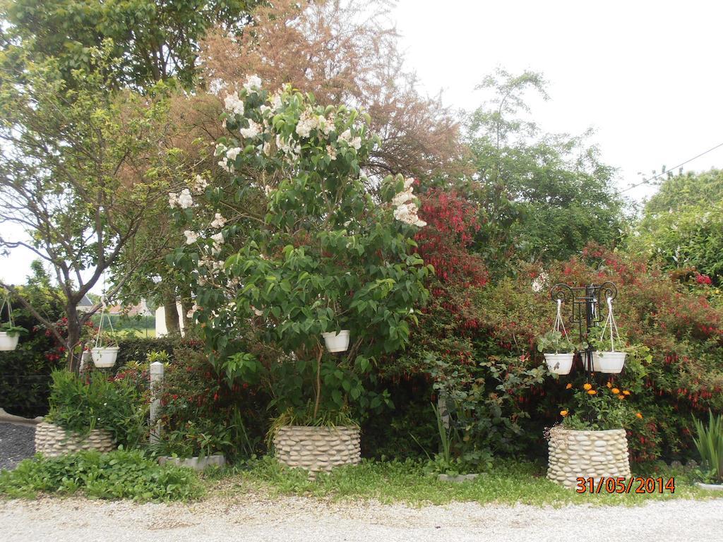 Les Galets Apartment Tracy-sur-Mer Exterior foto